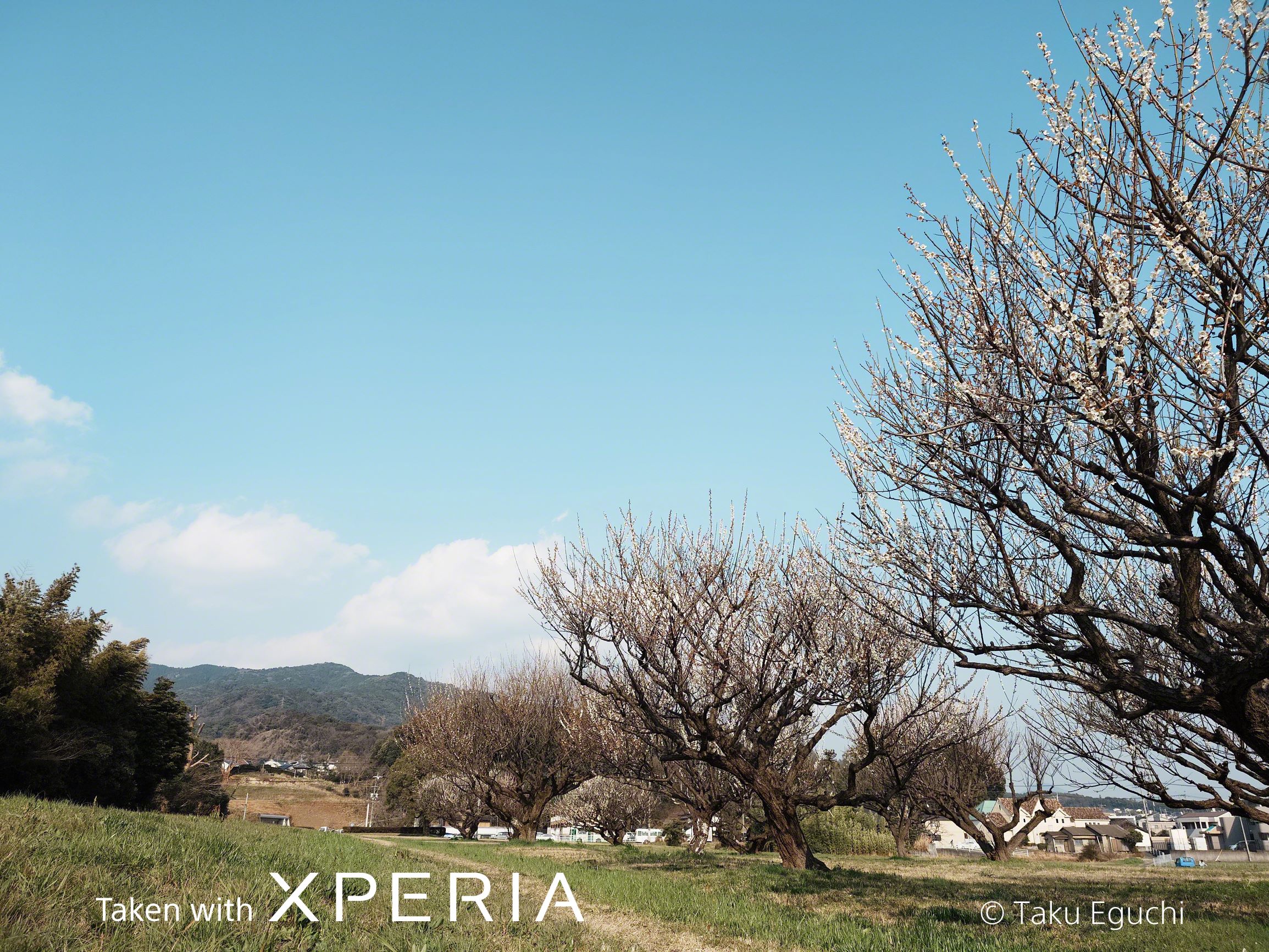 CreativeLook Film 24mm